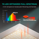 Mars Hydro TSL2000 300W 120x60x180cm / augšanas komplekts