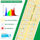 Mars Hydro SP 6500 LED 650W 150x60cm