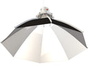 Secret Jardin Daisy 60cm