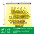 Mars Hydro SP 6500 LED 650W 150x60cm