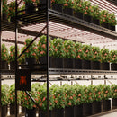 Spider Farmer® G1000W LED 150x150cm