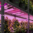 Mars Hydro Adlite R55 LED augšanas gaismas sloksnes dziļi sarkanās gaismas papildināšanai (2 komplektā)