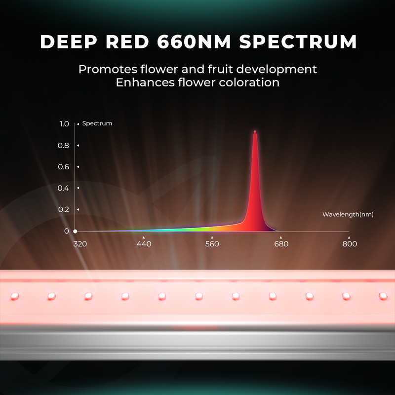 Mars Hydro Adlite R30 LED auginimo lempų juostos gilios raudonos šviesos papildymui su laikmačiu (2 vienetų rinkinys)