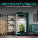 Mars Hydro TS600 100W 60x60x140 cm / audzēšanas komplekts