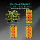 Mars Hydro SP3000 300W 120x60x180cm / audzēšanas komplekts