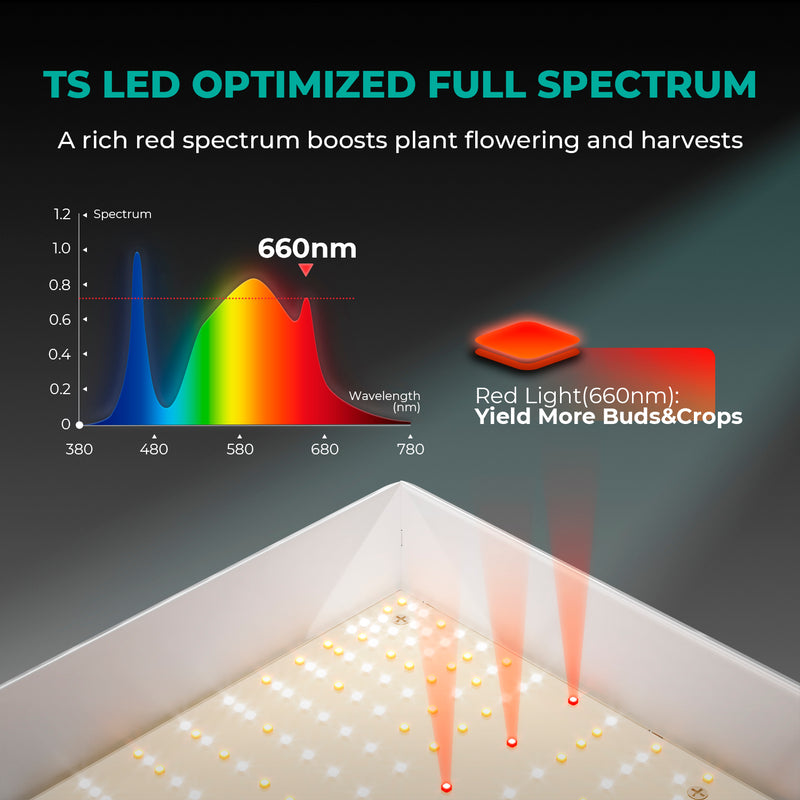 Mars Hydro TS1000 150W 70x70x160cm / augšanas komplekts