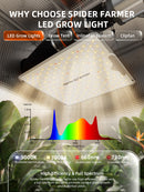 Spider Farmer® SF1000 LED 100W 70x70x160cm / audzēšanas komplekts