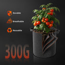 Spider Farmer® SF2000 LED 200W 120x60x180cm / audzēšanas komplekts