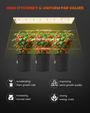 Spider Farmer SF600 74 W LED / auginimo lempa – galerijos nuotrauka 3