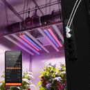 Spider Farmer UV30 + IR16 60 cm LED + GGS AC5 / papildomo apšvietimo rinkinys – pagrindinė nuotrauka