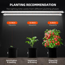 Spider Farmer Glow80 80 W LED + daigyklos + šildymo kilimėlis / daiginimo rinkinys – galerijos nuotrauka 7