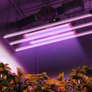 Spider Farmer G4500 320 W LED + UV30 ir IR16 60 cm / apšvietimo rinkinys – pagrindinė nuotrauka