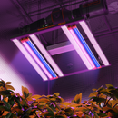 Spider Farmer SE3000 300 W LED + UV30 ir IR16 60 cm / apšvietimo rinkinys – pagrindinė nuotrauka