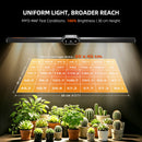 Spider Farmer 20 W LED su spaustuku / auginimo lempa – galerijos nuotrauka 4