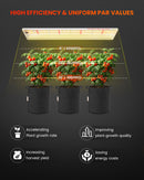Spider Farmer SF300 33 W LED / auginimo lempų rinkinys, 2 vnt. – galerijos nuotrauka 3
