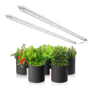 Spider Farmer Glow80 80 W LED / auginimo lempų rinkinys, 2 juostos – pagrindinė nuotrauka