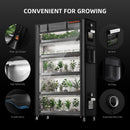 Spider Farmer 220 W LED + 110x40x180 cm 6 aukštų lentyna su tentu + 4 daiginimo padėklai / daiginimo ir auginimo rinkinys