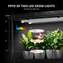 Spider Farmer 120 W LED + 70x35x150 cm 4 lygių auginimo lentyna su tentu / daiginimo ir auginių įšaknijimo rinkinys