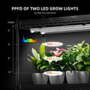 Spider Farmer 220 W LED + 110x40x180 cm 6 aukštų lentyna su tentu + 4 daiginimo padėklai / daiginimo ir auginimo rinkinys