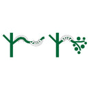 50 vienības mācību iekārtām.