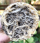 MycoTerra Kraken 57g, 114g, 255g / pulveris