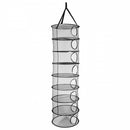 Karaliskais numurs 150 cm / 8